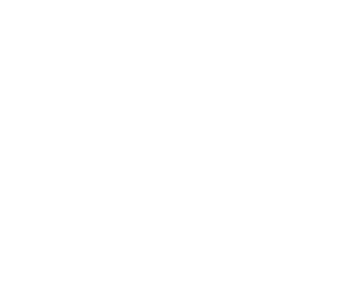 AI Agents - Everyvoice.ai